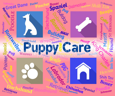 Puppy Care Shows Looking After And Canines