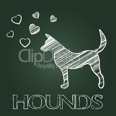 Hound Dog Indicates Dogs Canines And Hounds