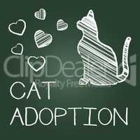 Cat Adoption Shows Kitten Pet And Adopting