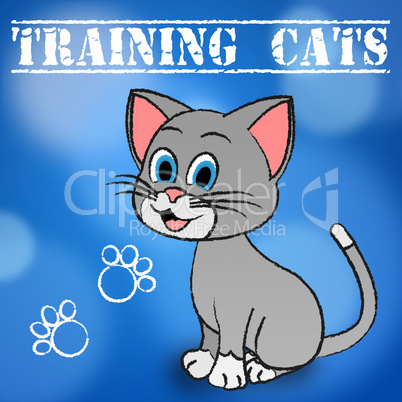 Training Cats Shows Teaching Instruct And Trained