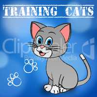 Training Cats Shows Teaching Instruct And Trained