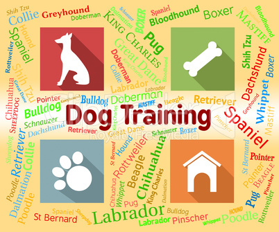 Dog Training Shows Pet Puppy And Pedigree