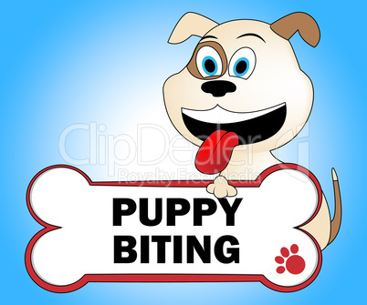 Puppy Biting Shows Aggressive Puppies And Aggression