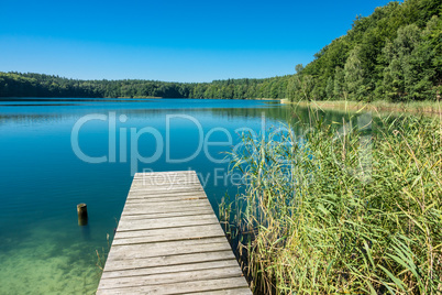 Landschaft am Trünnensee an der Mecklenburger Seenplatte