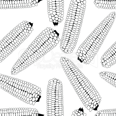 Corn seamless food vector background isolated cob plant.