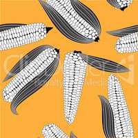 Corn seamless food vector background isolated cob plant.