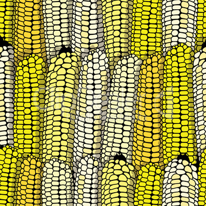 Corn seamless food vector background isolated cob plant.