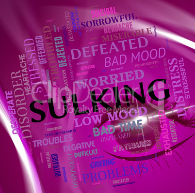 Sulking Word Means Bad Mood And Broods