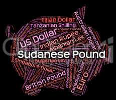 Sudanese Pound Means Currency Exchange And Coinage