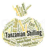 Tanzanian Shilling Means Exchange Rate And Foreign