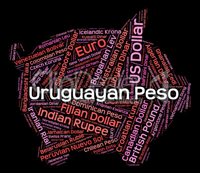 Uruguayan Peso Means Foreign Exchange And Coin