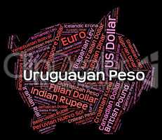 Uruguayan Peso Means Foreign Exchange And Coin