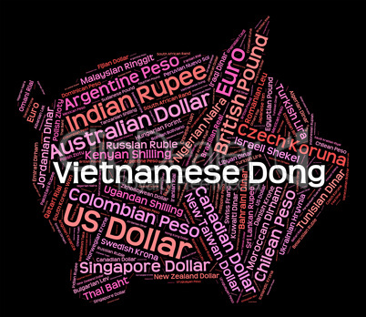 Vietnamese Dong Means Currency Exchange And Broker