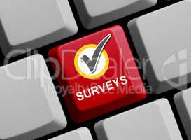 Surveys online