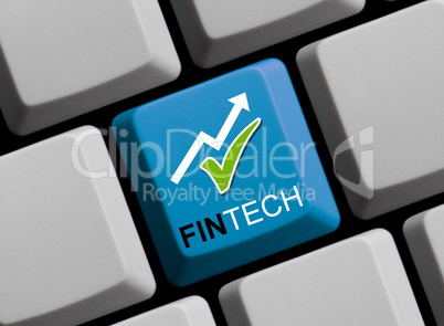 Fintech online