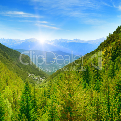 Dawn in the picturesque mountains covered with forests