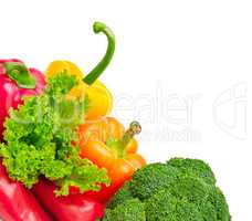 collection fresh vegetables