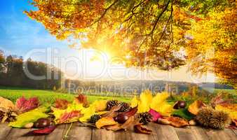 Herbst Konzept mit bunten Blättern auf Holz vor einer sonnigen