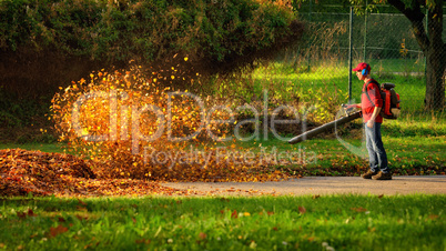 Herbstlaub wird von einem Laubbläser aufgewirbelt und leuchtet im Sonnenlicht
