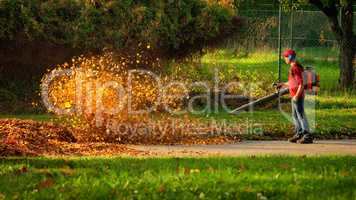 Herbstlaub wird von einem Laubbläser aufgewirbelt und leuchtet im Sonnenlicht