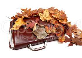 Brown leather briefcase and autumn multicolor dry leaves