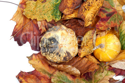 Two small decorative pumpkins on autumn leafs