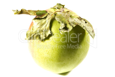 Fresh green apple