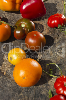 Red and yellow ripe tomatoes