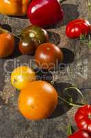Red and yellow ripe tomatoes
