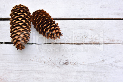 Weihnachten Zapfen auf weißem Holzhintergrund
