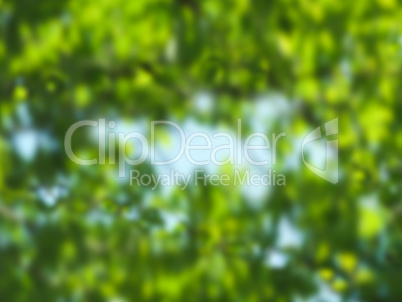 Defocused natural background