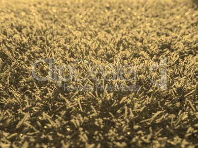 Artificial grass sepia