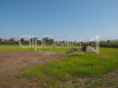 View of the city of Settimo Torinese