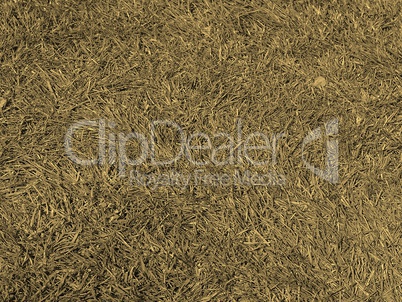 Meadow picture sepia