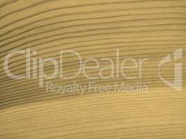 Brown larch wood background sepia