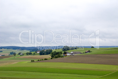 Landscape with meadow and tree