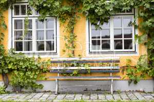 Wine growing on the house facade