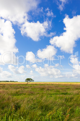 slowinski landscape