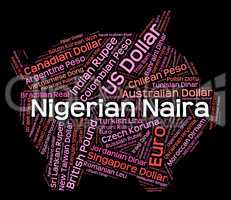 Nigerian Naira Indicates Foreign Currency And Banknotes
