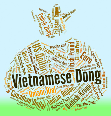 Vietnamese Dong Means Worldwide Trading And Dongs