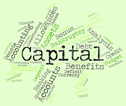 Capital Word Shows Fund Funding And Wordcloud