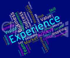 Experience Words Indicates Know How And Competency