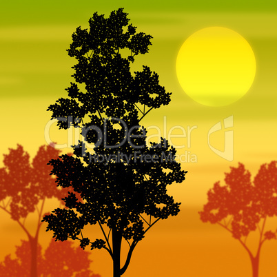 Countryside Sunset Shows Tree Trunk And Branch