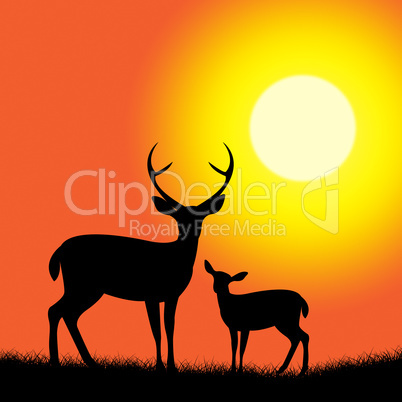 Deer Wildlife Represents Nature Reserve And Animal