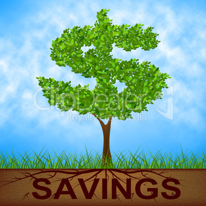 Savings Tree Shows United States And Banking