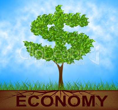 Economy Tree Represents American Dollars And Bank
