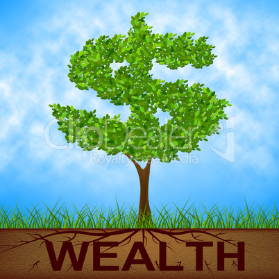 Wealth Tree Shows American Dollars And Branch