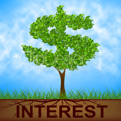 Interest Tree Shows American Dollars And Branch