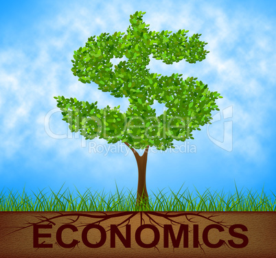 Economics Tree Indicates American Dollars And Branch