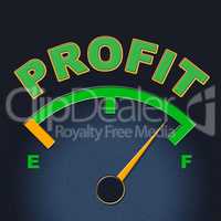 Profit Gauge Indicates Measure Indicator And Earn